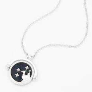 Icing Glow In The Dark Zodiac Spinning Pendant Necklace Capricorn Silver